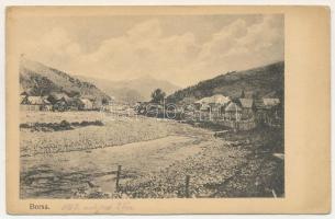 1917 Kolozsborsa, Borsa; látkép, híd / general view, bridge + "BORSA - VISÓVÖLGY - MÁRAMAROSSZIGET 470 A" (EB)