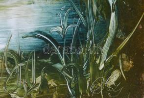 Szilágyi Imre (1942-): Fürdőző női aktok. Olaj, farost, jelezve jobbra lent. 40x50 cm. Fakeretben