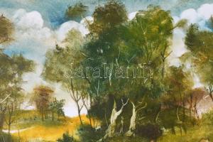 Szilágyi Imre (1942-): Fürdőző női aktok. Olaj, farost, jelezve jobbra lent. 40x50 cm. Fakeretben