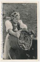 1940 Kalotaszeg, Tara Calatei; Kalotaszegi szüret / Transylvanian folklore from Tara Calatei, harvest, vintage