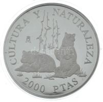 Spanyolország 1996. 2000P Ag "1996. Ibériai barna medvék - Kultúra és természet emlékkiadás&quo...