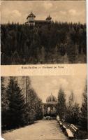 Vatra Dornei, Dornavátra, Bad Dorna-Watra (Bukovina, Bucovina, Bukowina); Runc-Pavillon / Pavilonul pe Runc / pavilion, villa (9,6 cm x 15,4 cm) (EM)