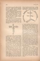 [Folyóirat] Nyugat. Szerkeszti Ady Endre és Fenyő Miksa. VII. évfolyam, I. kötet (1-12. szám) [1914....