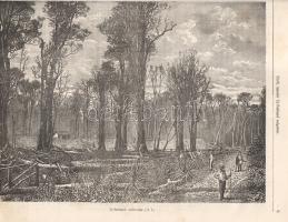 [Folyóirat] A Katholikus Hitterjesztés Lapjai. Képes folyóirat. Szerkeszti Nogely István. Megjelenik...