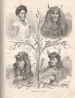 [Folyóirat] A Katholikus Hitterjesztés Lapjai. Képes folyóirat. Szerkeszti Nogely István. Megjelenik...