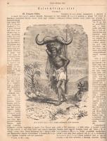 [Folyóirat] A Katholikus Hitterjesztés Lapjai. Képes folyóirat. Szerkeszti Nogely István. Megjelenik...