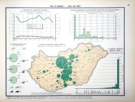 Illyefalvi I[mre] Lajos: Budapest székesfőváros áruforgalma. Güterverkehr der Haupt- und Residenzsta...