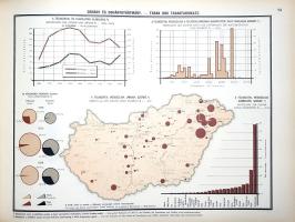 Illyefalvi I[mre] Lajos: Budapest székesfőváros áruforgalma. Güterverkehr der Haupt- und Residenzsta...