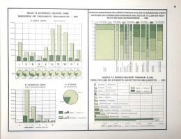Illyefalvi I[mre] Lajos: A székesfőváros múltja és jelene grafikus ábrázolásban. Graphische Bilder a...