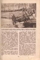 Székelyi Nyiry László: Hatszázmillió ember harca.
Budapest, [1940]. Tolnai Nyomdai Műintézet és Kia...