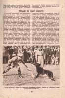 Székelyi Nyiry László: Hatszázmillió ember harca.
Budapest, [1940]. Tolnai Nyomdai Műintézet és Kia...