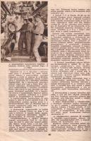 Székelyi Nyiry László: Hatszázmillió ember harca.
Budapest, [1940]. Tolnai Nyomdai Műintézet és Kia...