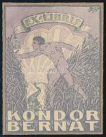 Kun Mihály (1881-1957): Ex libris Kondor Bernát. Klisé, papír, jelzett a klisén. Papírra kasírozva. 10×7,5 cm.