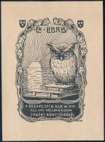 Mátrai Vilmos (1877-1961): Ex libris, a Budapesti III. ker. M. Kir. Állami Főgimnázium tanári könyvtárából (szecessziós könyvjegy). Fametszet, papír, jelzett a metszeten. 9×6 cm.