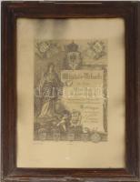 1895 Deutscher Werkmeister Verband (német művezetők szövetsége) dekoratív tagfelvételi oklevele Wilhelm Dolz részére, üvegezett fakeretben, a kereten kisebb sérülésekkel, kissé koszos, látható: 52x38 cm, teljes méret: 62,5x48,5 cm