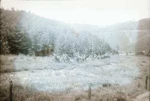 1933 Cserkészek, vízi cserkészek, 25 db fotónegatív, 6×9 cm