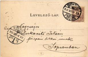 1900 Budapest I. Dísz tér, Honvéd emlék, üzletek. Divald Károly 33. (EK)