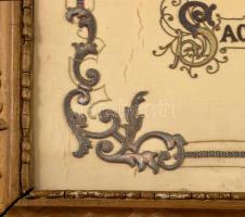 cca 1880'-as évek "Székási Sacelláry család czímere", selyem (?) üvegezett fa keretbe...