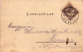 1901 Budapest I. Budai Vigadó, Vendéglő és kávéház, Wild József üzlete. Ganz Antal kiadása 63