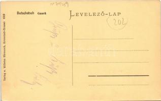 Bucsecs-hegység, Butschetsch, Bucegi (Brassó mellett); Gaura. Wilhelm Hiemesch kiadása 1909. / mount...