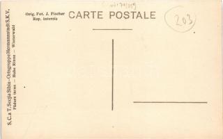 Szebenjuharos, Hohe Rinne, Paltinis (Nagyszeben, Sibiu); Padure iarna. S.C.a.T. Sectia Sibiu Ortsgru...