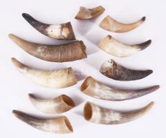 11 darab klf méretű szarv