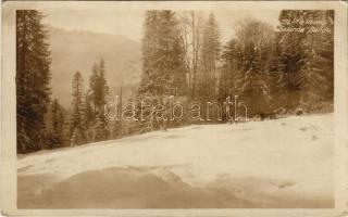 Bardu, Ski-Übungs Gelände / Osztrák-magyar és német katonai síkiképzőterep a Kárpátokban / WWI German and K.u.K. military, ski training grounds in the Carpathian Mountains, winter sport. photo (non PC) (EK)