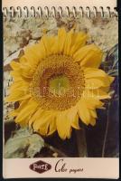 Fortecolor Typ-3 papír mintafüzete 10 db reklámképpel, 14×10 cm