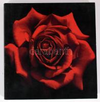 PowerFlower. Blütenzauber in der zeitgenössischen Kunst. Kuratiert von Tilman und Gabriele Osterworld. Stuttgart, 2012, Galerie Abtart. Német nyelven. Gazdag képanyaggal illusztrált. Kiadói papírkötés.