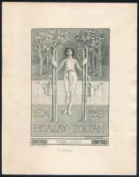 Mosonyi-Pfeiffer, Hellmann (1863-1905): Ex libris Brázay Zoltán (szecessziós könyvjegy). Acélmetszet, papír, jelzett a dúcon, lap alján tollas feliratokkal, 12×8 cm