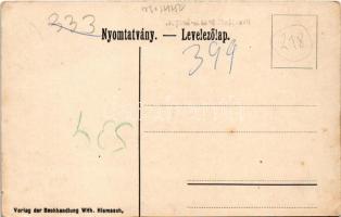 Brassó, Kronstadt, Brasov; látkép. Wilh. Hiemesch kiadása / general view (EK)