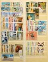 Magyar tétel az 1930-1980 közötti időszakból több példányokban, 12 lapos nagyalakú berakóban + Pár s...