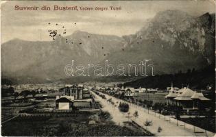Busteni, Vedere despre Tunel / general view. Edit. Soc. "Ursul" (EK)