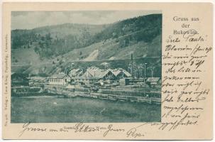 1902 Vatra Dornei, Dornavátra, Bad Dorna-Watra (Bukovina, Bucovina, Bukowina); Brettsäge / sawmill. Leon König (Czernowitz) No. 416. (EK)