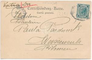 1902 Vatra Dornei, Dornavátra, Bad Dorna-Watra (Bukovina, Bucovina, Bukowina); Brettsäge / sawmill. ...