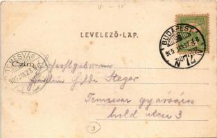 1905 Budapest IX. Vámház körút, villamos, Vásárcsarnok, gyógyszertár, Nádor szálloda és kávéház. Div...