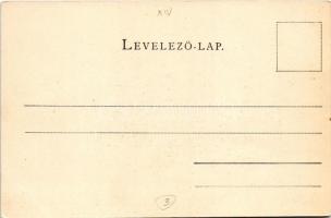 Budapest XIV. Park Club (ma Stefánia Palota). Schmidt Edgar kiadása