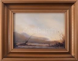 Olvashatatlan jelzéssel: Táj. Olaj, farost. Fakeretben. 12,5x18 cm.