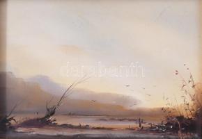 Olvashatatlan jelzéssel: Táj. Olaj, farost. Fakeretben. 12,5x18 cm