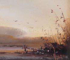 Olvashatatlan jelzéssel: Táj. Olaj, farost. Fakeretben. 12,5x18 cm