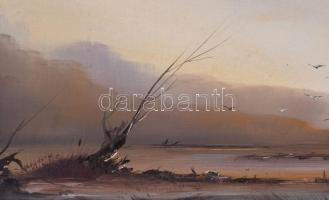 Olvashatatlan jelzéssel: Táj. Olaj, farost. Fakeretben. 12,5x18 cm