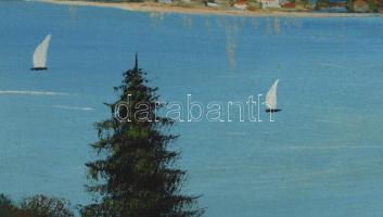 Rudy jelzéssel: Hegyvidéki tó vitorlásokkal. Olaj, vászon. Dekoratív fakeretben. 57x78 cm