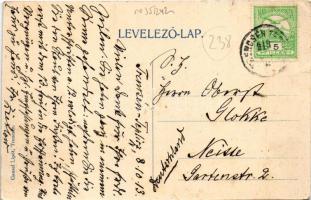 1913 Trencsén, Trencín; vár. Gansel Lipót kiadása / Trenciansky hrad / castle (EK)