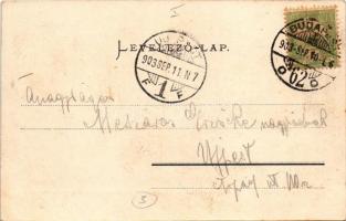 1903 Budapest I. Az új királyi vár és jobbparti részlet, Várkert Bazár, gőzhajó. Ganz Antal 120