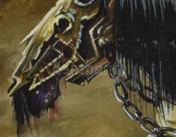 Olvashatatlan jelzéssel: Varázsló lovon (fantasy). Olaj, vászon, jelzett, kissé sérült, 30x40 cm