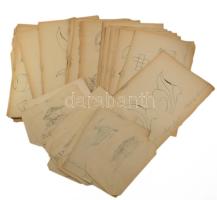 Mayer Árpád, XIX. sz. második fele: kb. 40 db iskolai tanulmányrajz (portrék, ornamentikák, geometri...