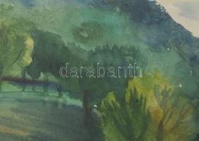 Lőrincz Vitus (1933-): Hegyvidéki táj, 1991. Akvarell, papír, jelzett, paszpartun Lőrincz Vitus auto...