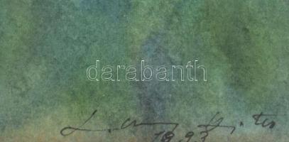 Lőrincz Vitus (1933-): Balaton, 1993. Akvarell, papír, jelzett, üvegezett fakeretben, 34x53 cm