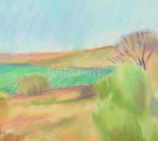 Lőrincz Vitus (1933-): Balatonfelvidéki lovastanya, 2003. Pasztell, papír, jelzett, paszpartuban, 33...