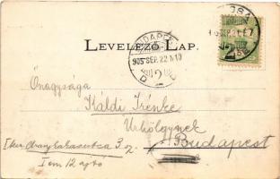 1905 Kassa, Kosice; Látkép / general view (vágott / cut)